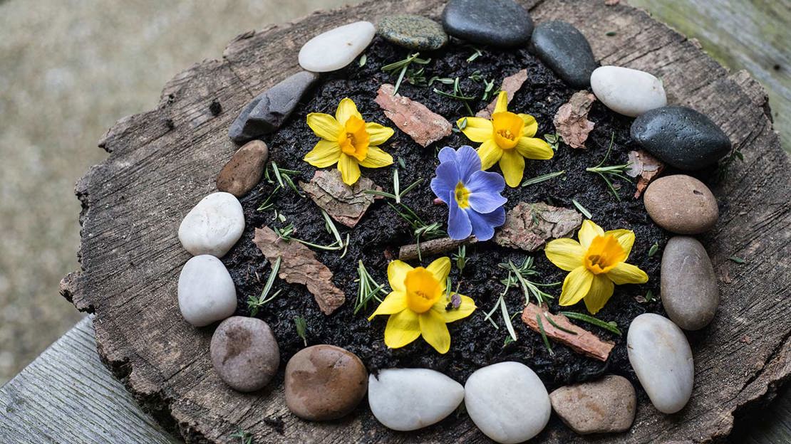 mud pie with flowers