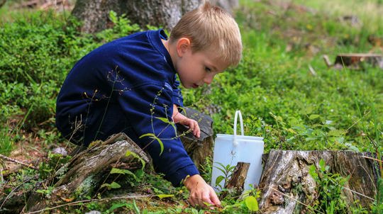 Young boy collecting natural items in a paper bag