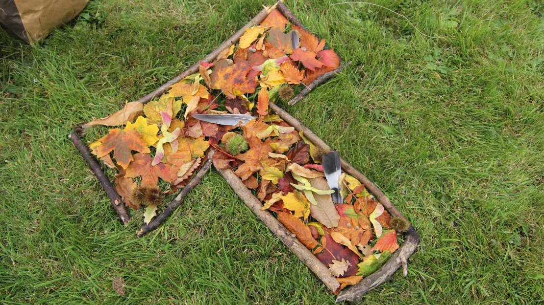 Leaf letter shaped 'T' on grass