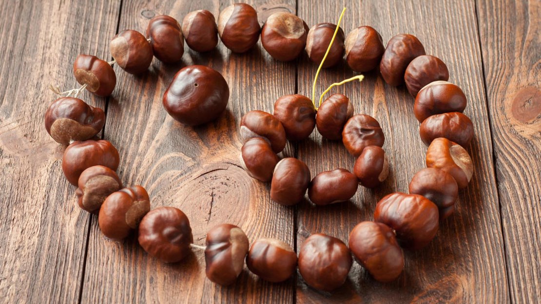 Conker Crafts and Activities - Woodland Trust