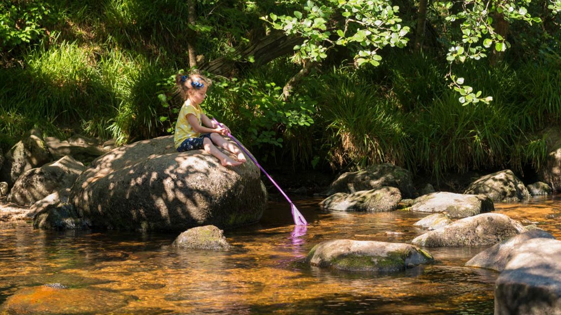 Girl dipping a net into the River Teign at Fingle Woods