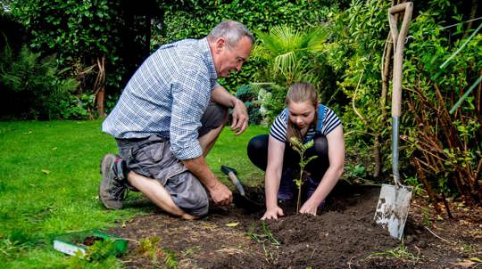 Girl planting sapling in garden