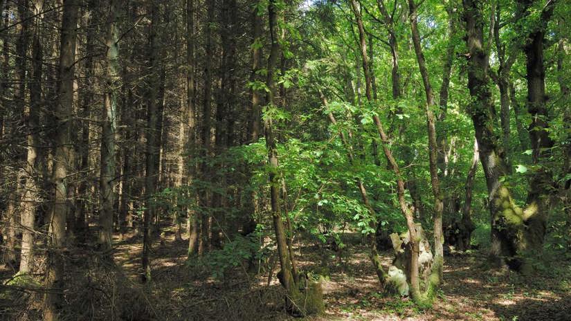 Umbraco.Cms.Infrastructure.PublishedCache.Property