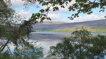 View of Loch Arkaig through trees