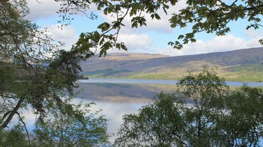 View of Loch Arkaig through trees