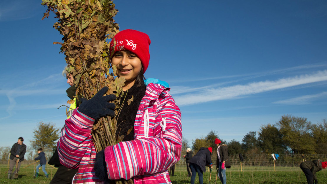 Girl holding oak saplings for tree planting at Heartwood Forest, November 2017