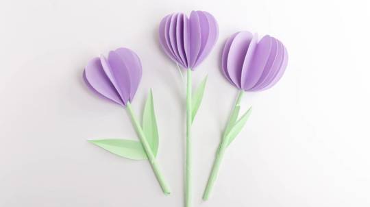 Paper tulip craft