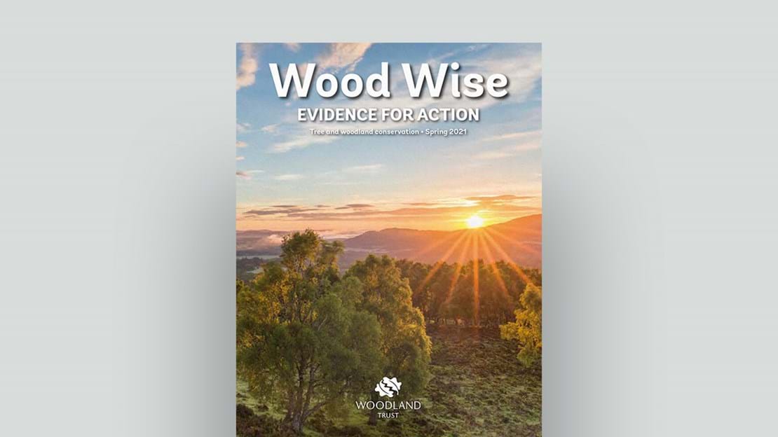 Wood Wise - evidence for action, Spring 2021 edition