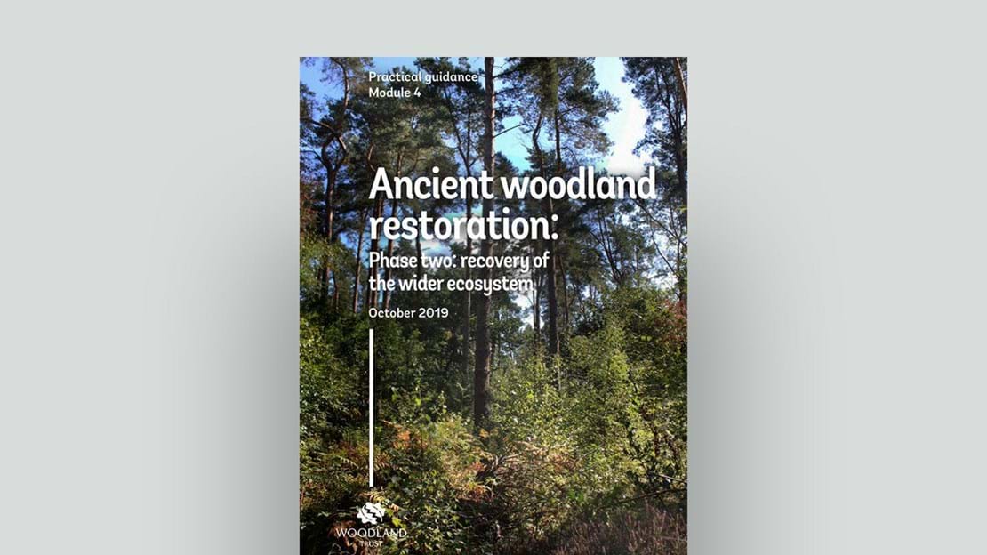 Ancient woodland restoration module 4 phase 2 document cover
