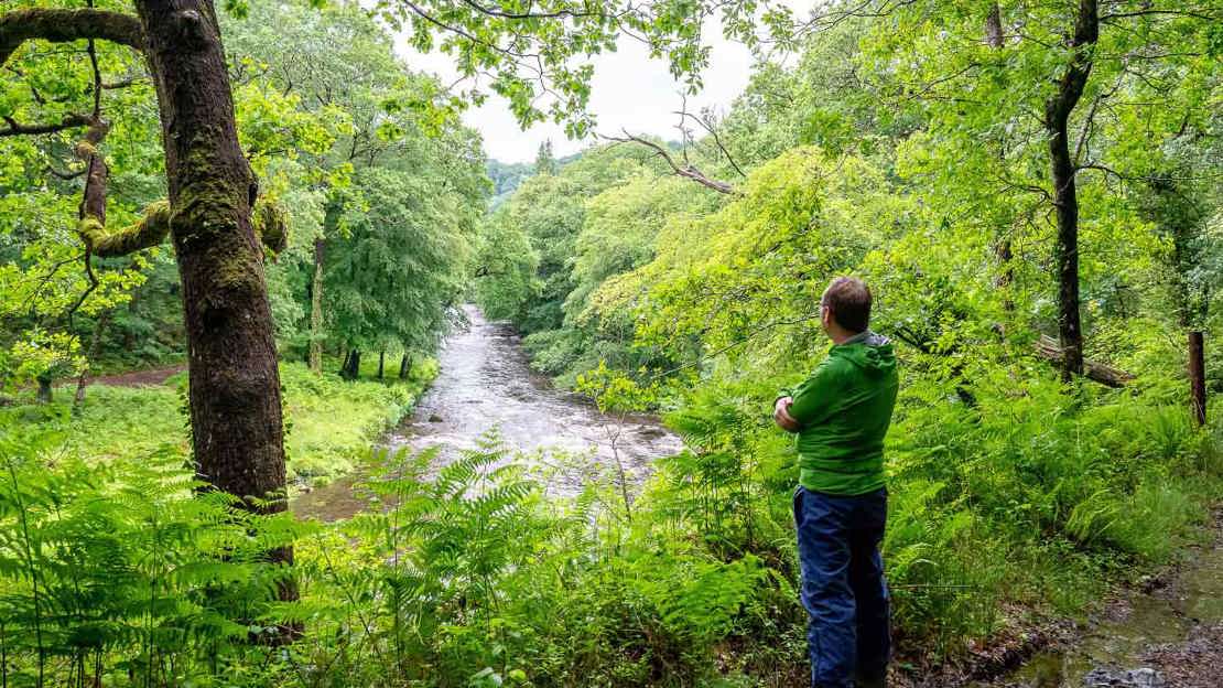 Outlook over River Dart at Ausewell Wood