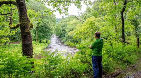 Outlook over River Dart at Ausewell Wood