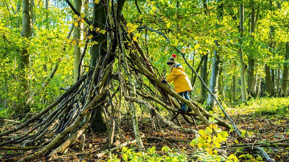 Child building a den in the woods