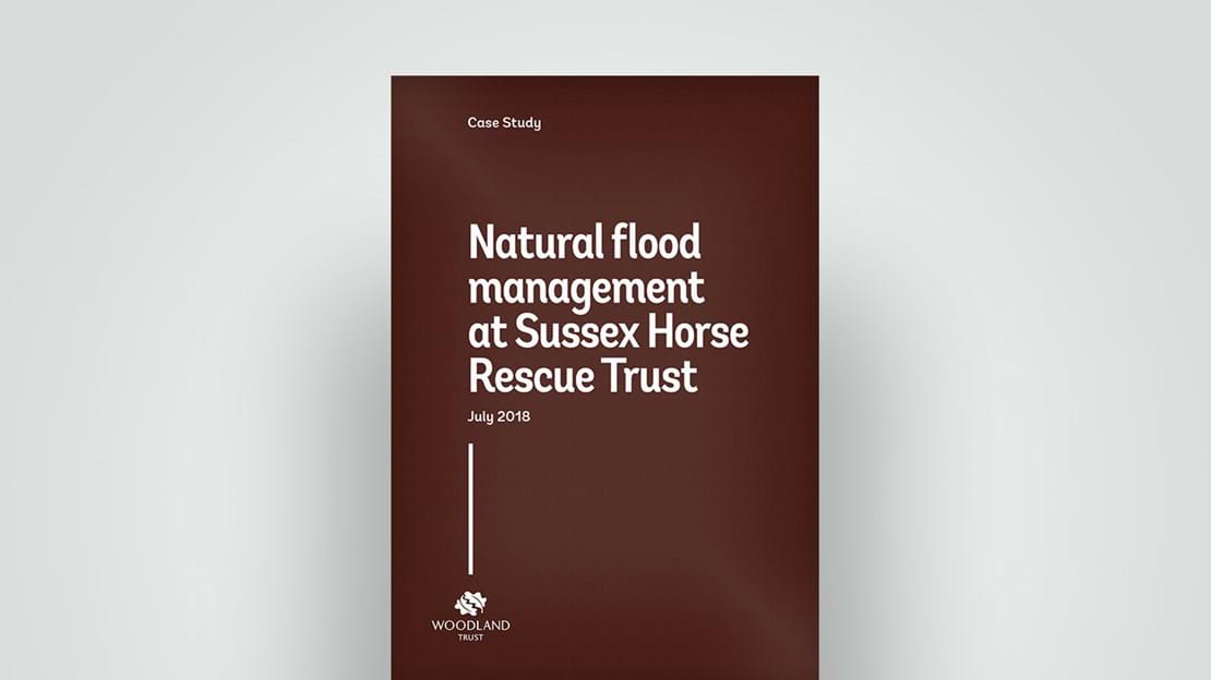 Flood management at Sussex Horse Rescue case study, 2018