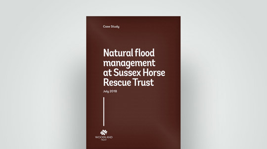 Flood management at Sussex Horse Rescue case study, 2018