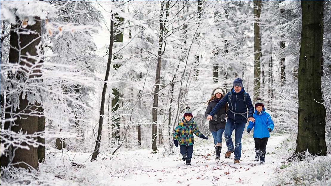 Man, woman and two boys in winter clothing walking in snowy woods