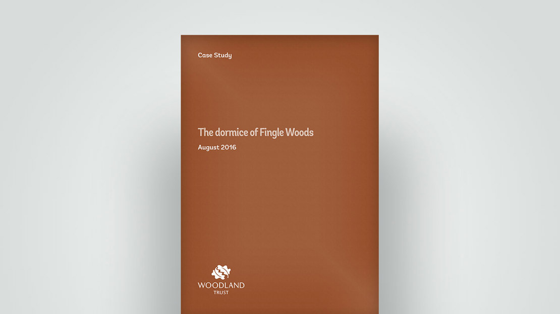 The dormice of Fingle Woods, 2016 case study