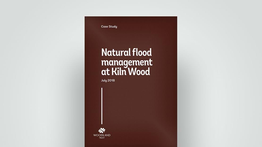 Natural flood management at Kiln Wood, 2018 report