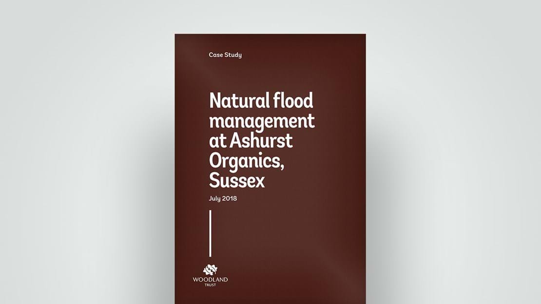 Natural flood management at Ashurst Organics, Sussex. 2018 case study