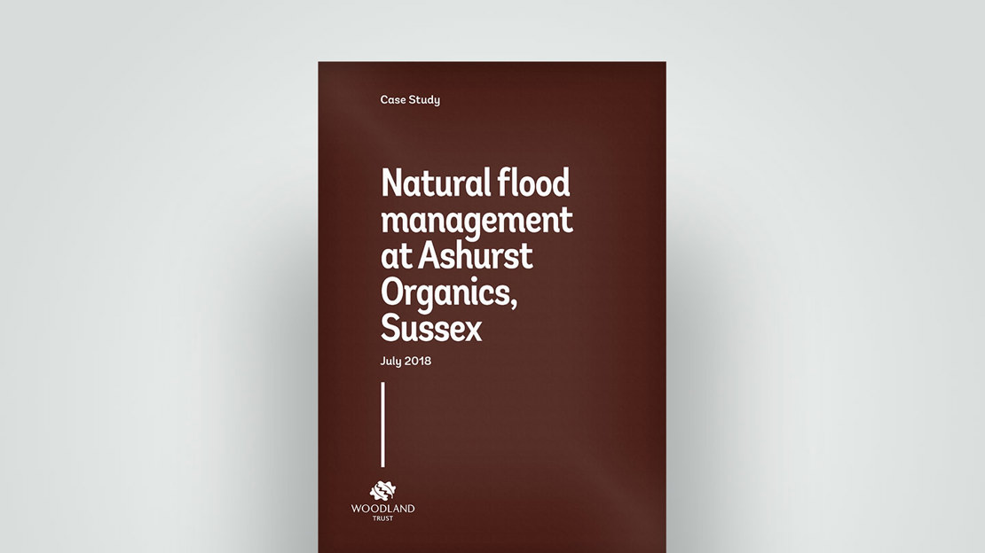 Natural flood management at Ashurst Organics, Sussex. 2018 case study Natural flood management at Ashurst Organics, Sussex. 2018 case study