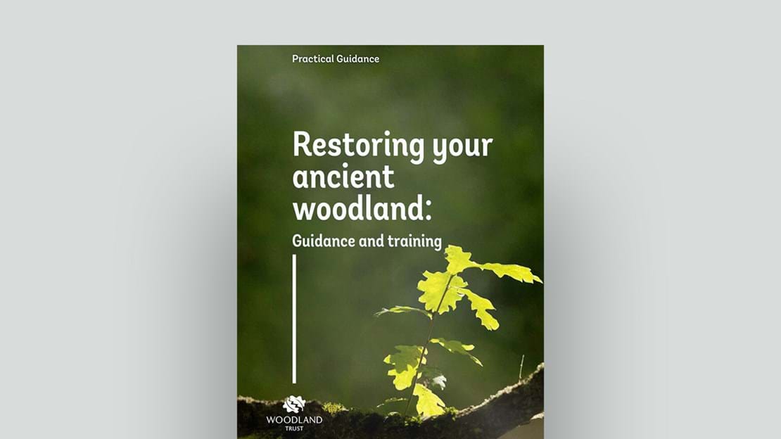 Restoring Ancient Woodland document cover