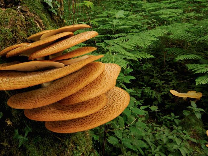 Umbraco.Cms.Infrastructure.PublishedCache.Property