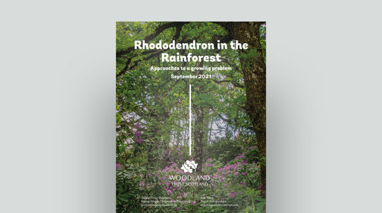 Rhododendron In The Rainforest Document Cover