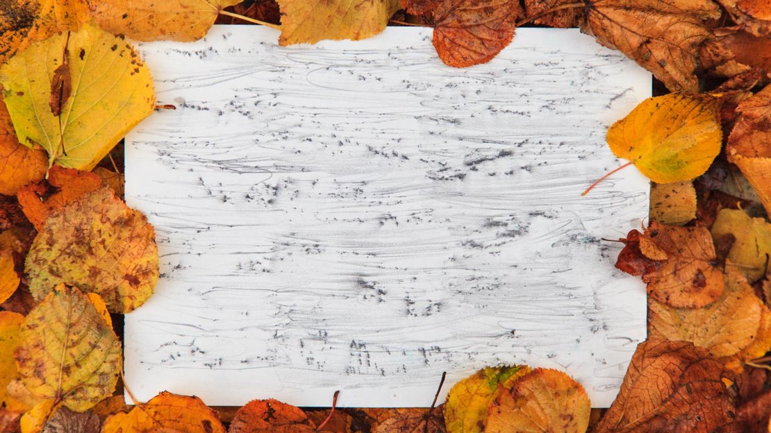 Bark rubbing surrounded by leaves