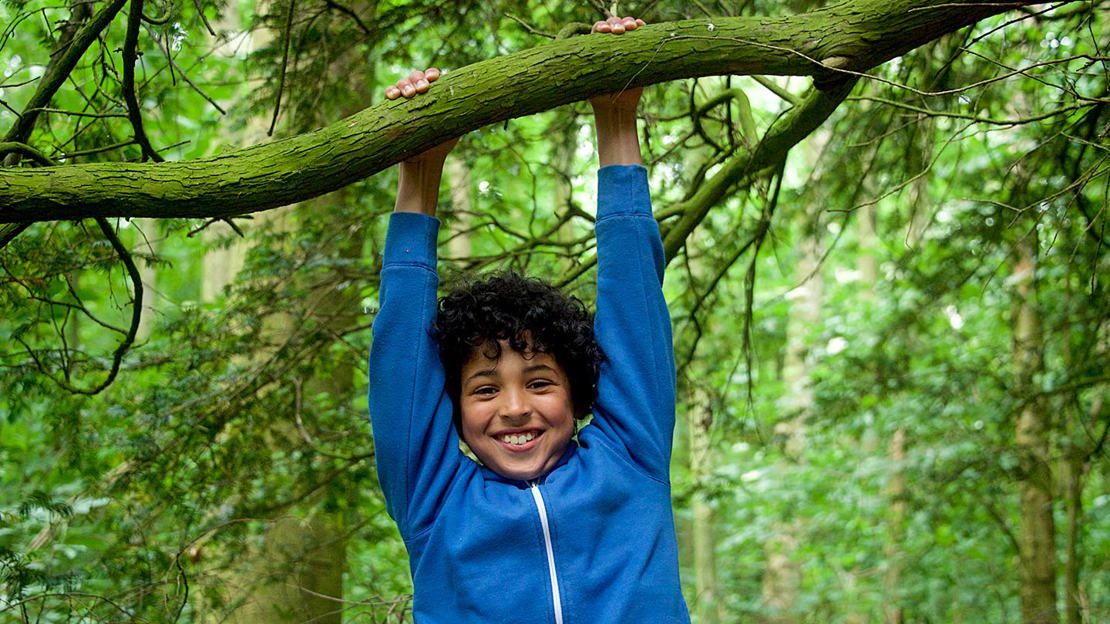 Boy swinging from a tree branch