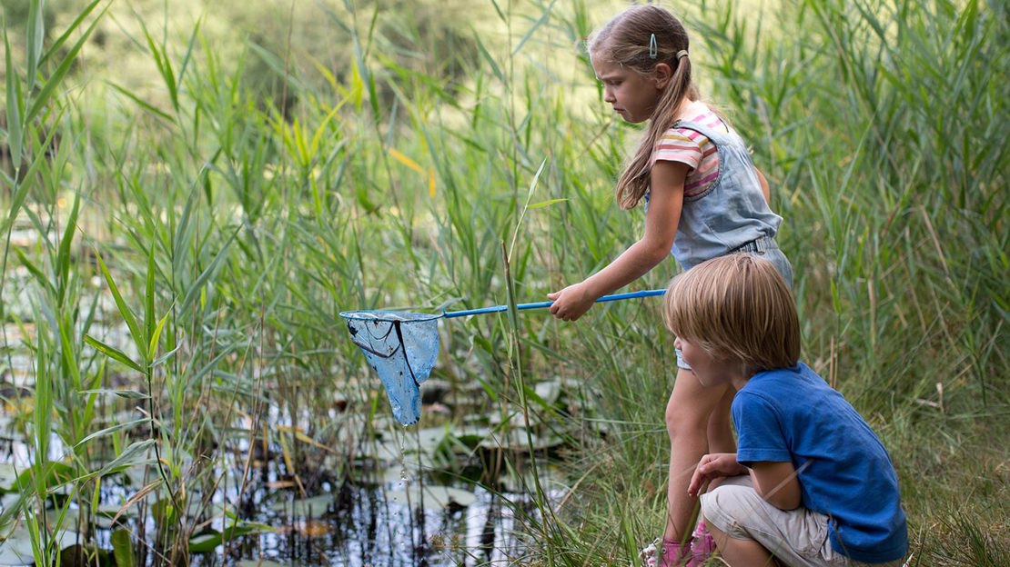 Girl and boy pond dipping near rushes