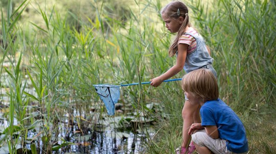 Girl and boy pond dipping near rushes