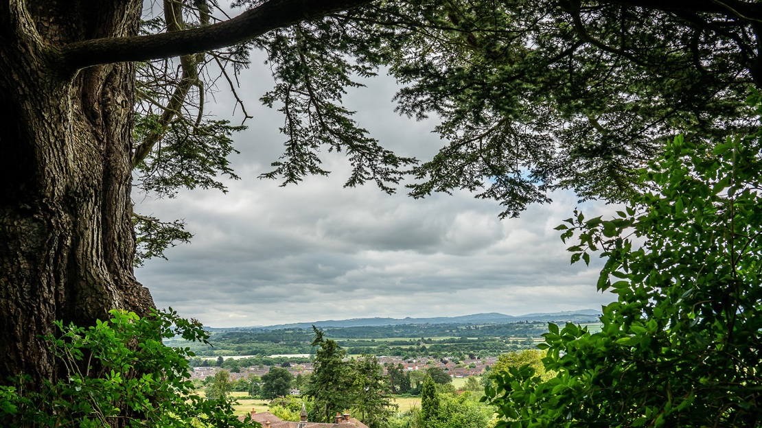 View over the countryside to mountains in the distance framed by a mature tree in the foreground