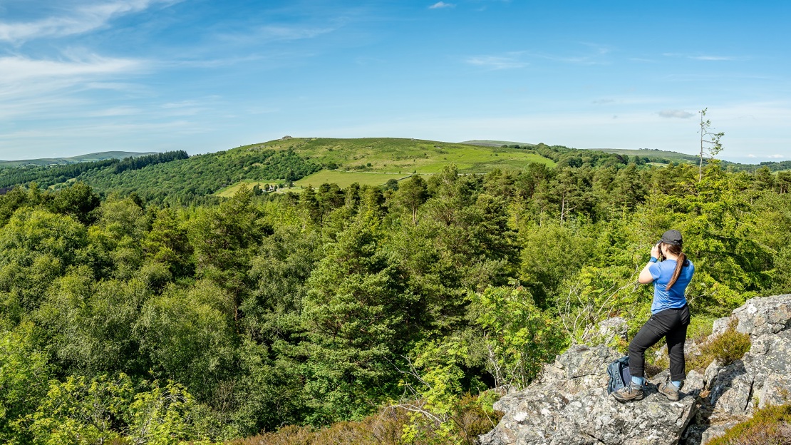 Person in walking gear standing on a rock looking over treetops into the distance