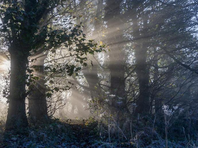 Umbraco.Cms.Infrastructure.PublishedCache.Property