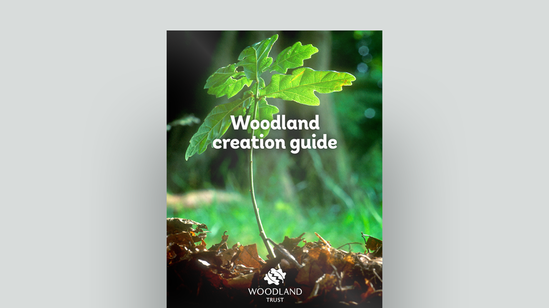 Document cover for the Woodland Trust's woodland creation guide