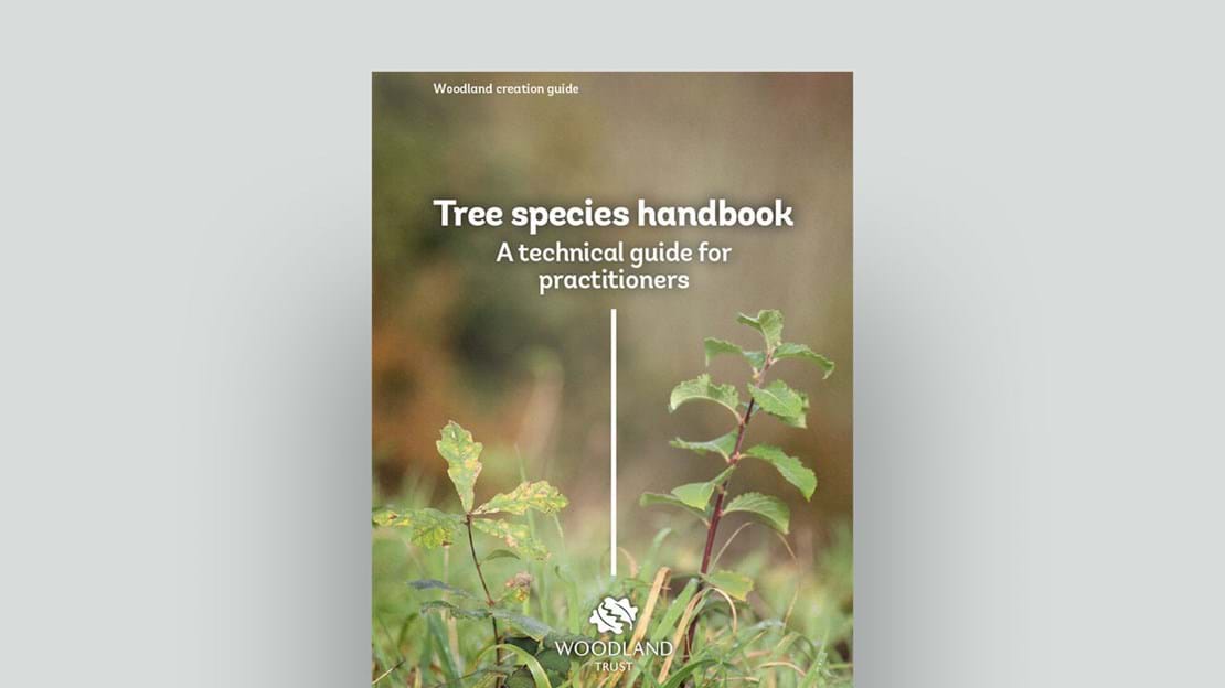 Tree species handbook document cover