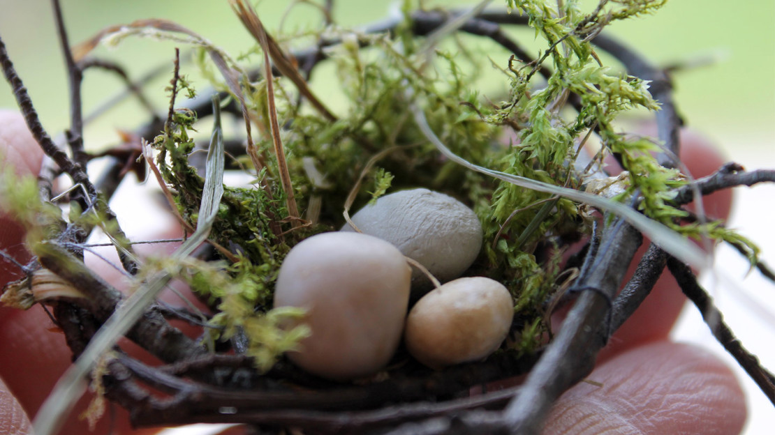 Hands holding a small twig nest with three pebbles in it