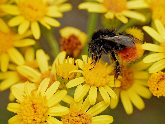 Umbraco.Cms.Infrastructure.PublishedCache.Property