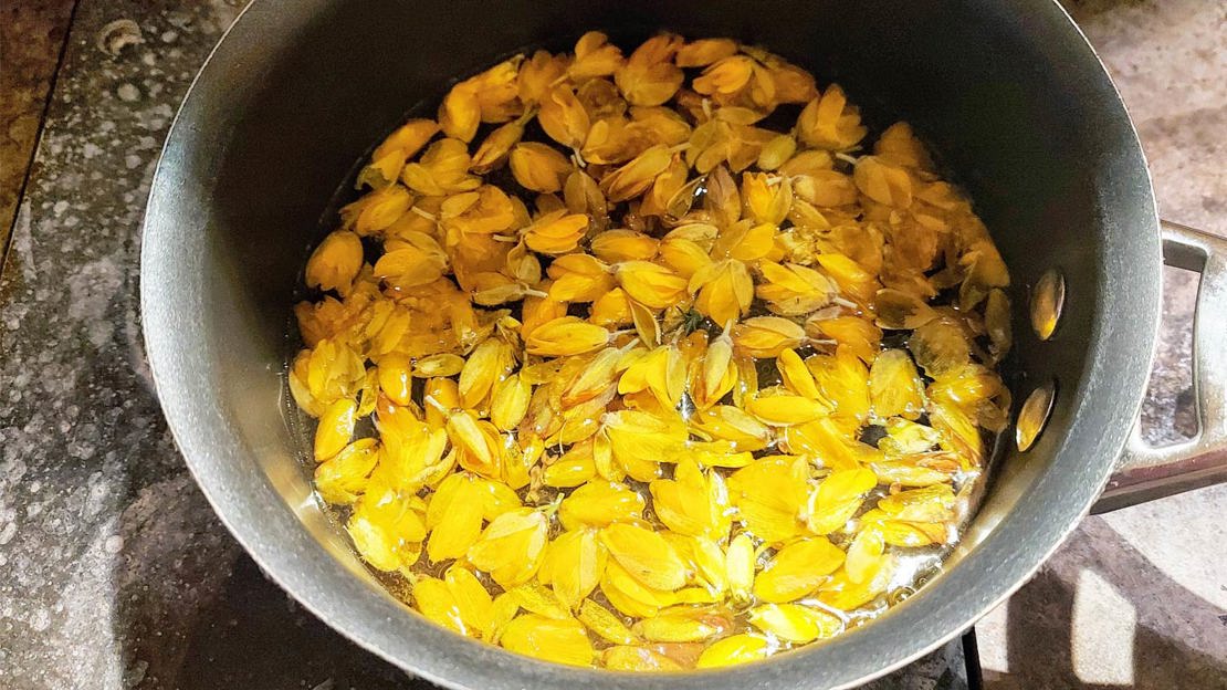 Gorse flowers soaking for dye