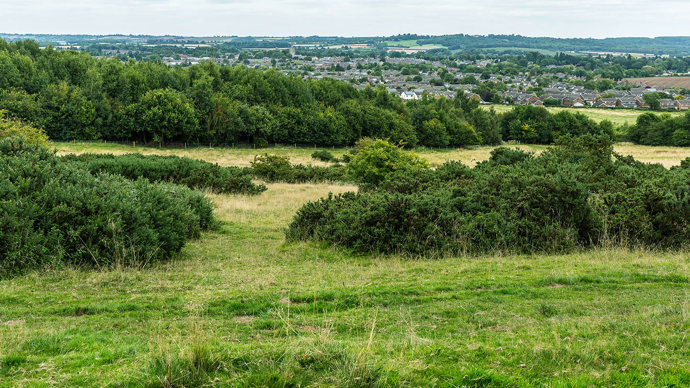 Grassland near a residential area at Gorsefield Wood