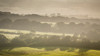 Landscape view of green fields lined with trees on a misty day