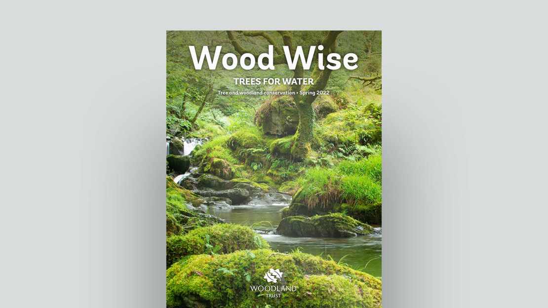 Wood Wise: Trees For Water Spring 2022