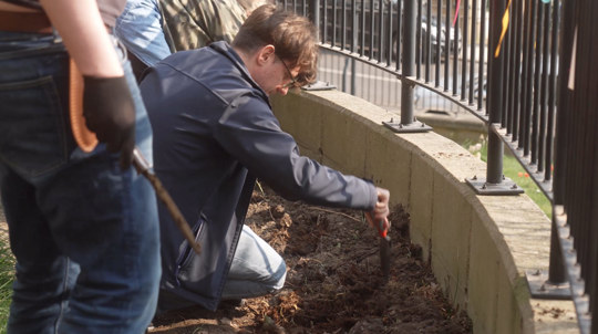 People planting trees with Arbor Projects using our free tree packs