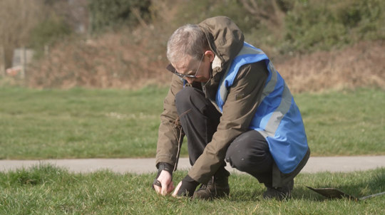 Older man planting sapling at a community tree planting day, Birmingham