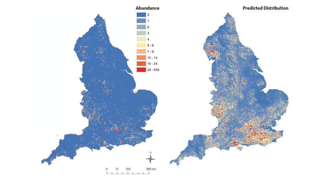 Distribution of ancient trees across England
