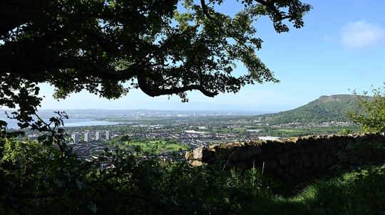 View from the top of a hill looking through trees