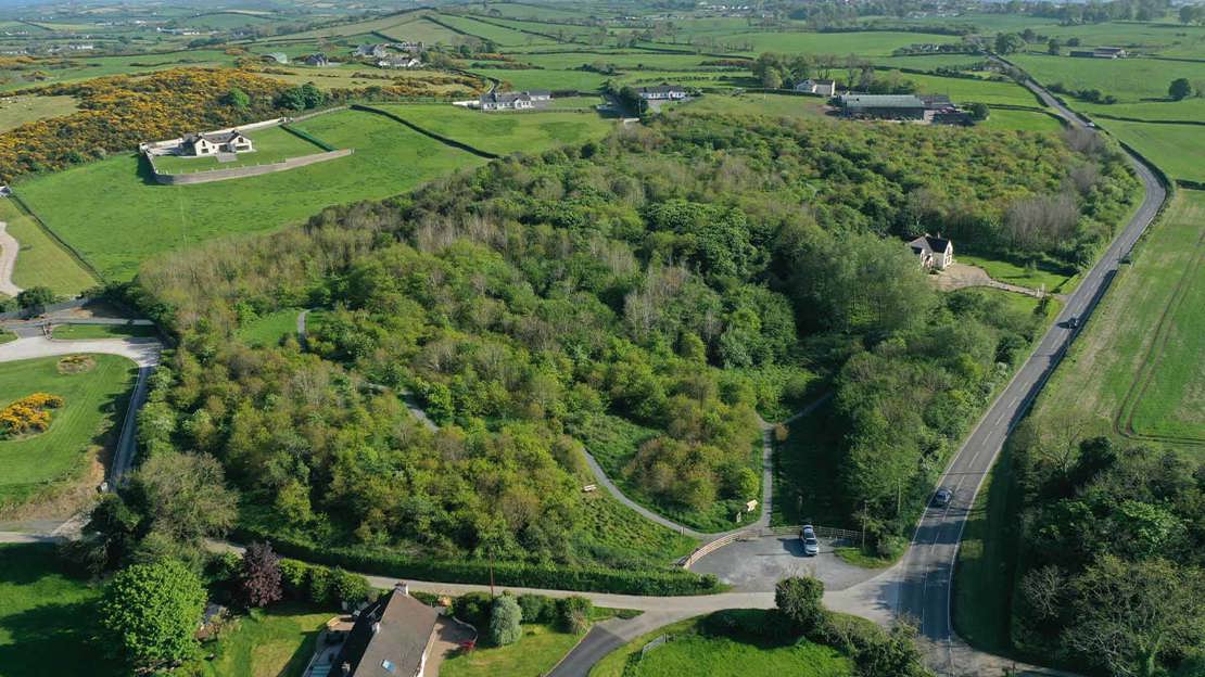 Aerial view of wood