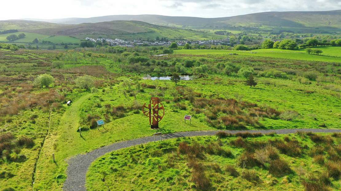 Aerial view of a wood