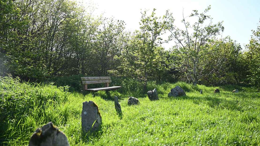 Sun shining on a bench placed behind a stone circle