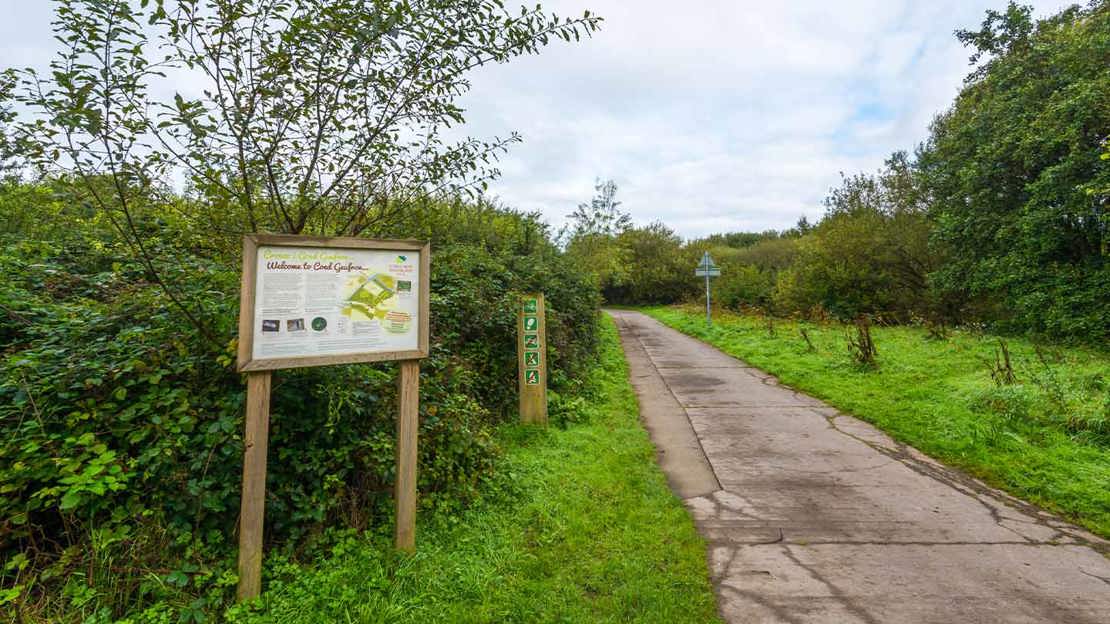 Noticeboard at the entrance to wood