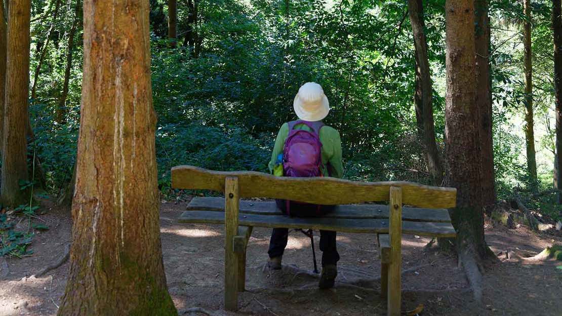 Walker sitting on a bench amongst tall trees